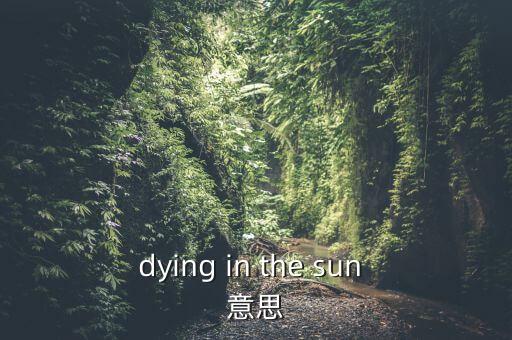 dying in the sun 意思