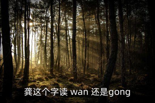 龔這個字讀 wan 還是gong