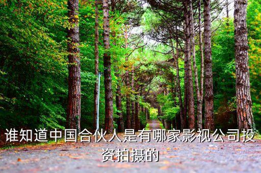 黃曉明投資公司叫什么，誰知道中國合伙人是有哪家影視公司投資拍攝的