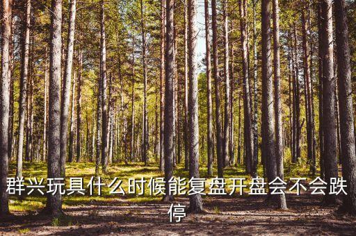 群興玩具什么時(shí)候能復(fù)盤開盤會(huì)不會(huì)跌停