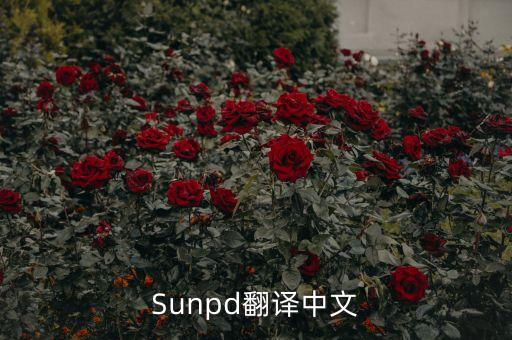 sun同上什么意思，Sunpd翻譯中文