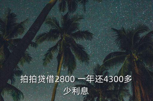 什么是拍拍貸，拍拍貸借2800 一年還4300多少利息