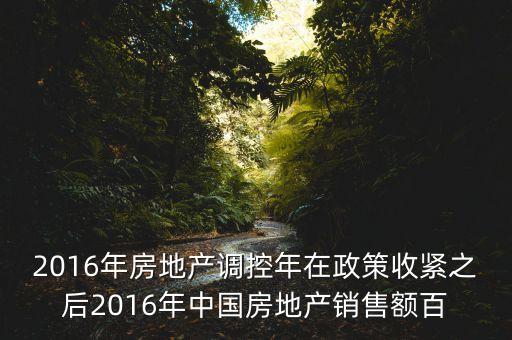 2016房市下一步還能出什么政策，2016年房地產(chǎn)調(diào)控年在政策收緊之后2016年中國房地產(chǎn)銷售額百