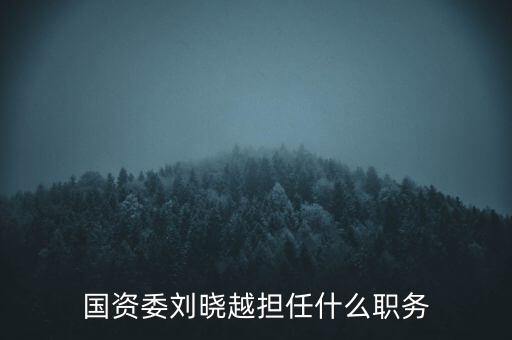 國資委劉曉越擔(dān)任什么職務(wù)