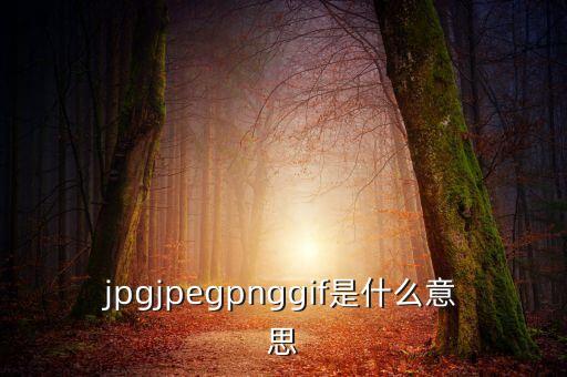 什么是代價比率，JPG文件會有病毒嗎