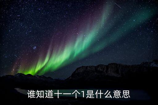 銀行說的逾期10個1是什么意思，誰知道十一個1是什么意思