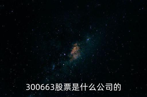 300663股票是什么公司的