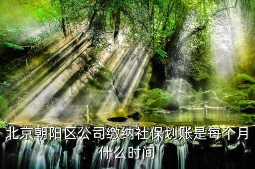 北京朝陽區(qū)公司繳納社保劃賬是每個月什么時間