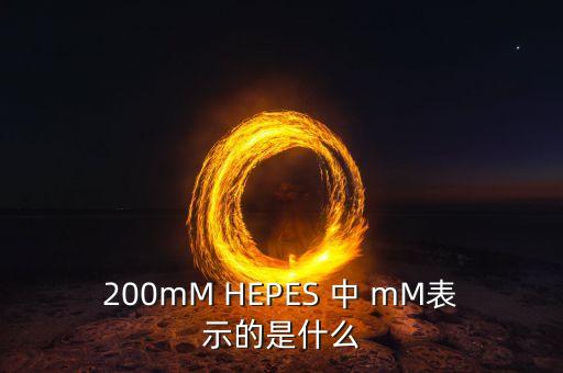 200mM HEPES 中 mM表示的是什么