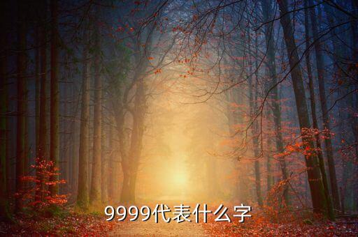 9999代表什么字