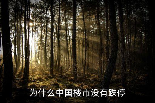 為什么中國房地產(chǎn)不崩盤，為什么中國樓市沒有跌停