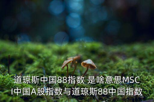 88開頭的股票是什么股，88打頭的股票代碼是那個交易所