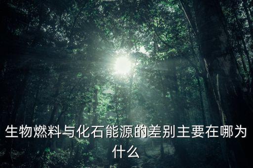 為什么非化石能源，生物燃料與化石能源的差別主要在哪為什么