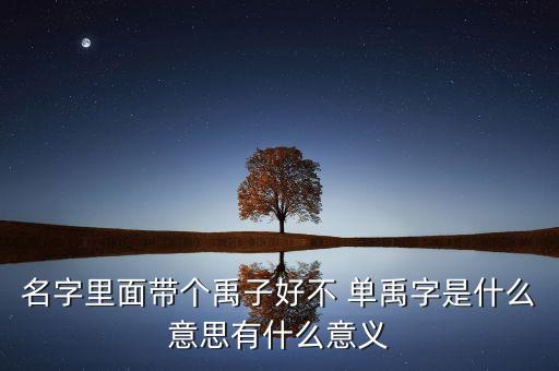 名字里面帶個禹子好不 單禹字是什么意思有什么意義