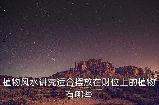 16年擺什么花利于財，客廳擺放什么花最吉利