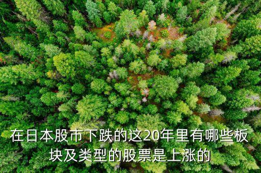 在日本股市下跌的這20年里有哪些板塊及類(lèi)型的股票是上漲的