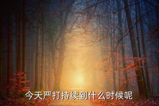 今天嚴打持續(xù)到什么時候呢