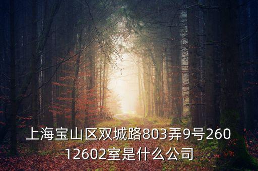 上海柏智方德是什么公司，上海寶山區(qū)雙城路803弄9號(hào)26012602室是什么公司