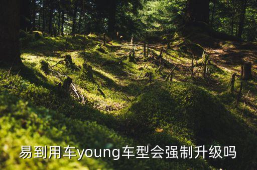 易到用車young車型會(huì)強(qiáng)制升級(jí)嗎