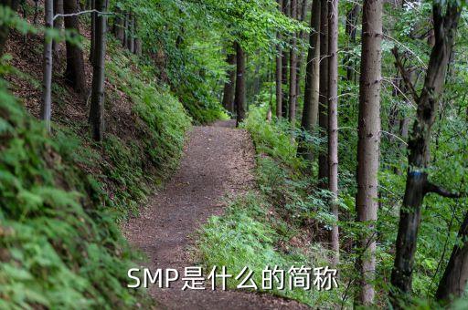 制藥smp指的是什么，藥品SMP的含義