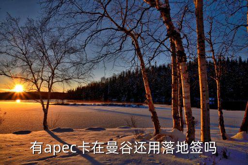 apec為什么有俄羅斯，亞太經(jīng)合組織怎么樣為什么中國(guó)1991年才加入怕俄羅斯聯(lián)邦嗎