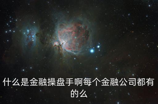 什么是金融操盤手啊每個金融公司都有的么