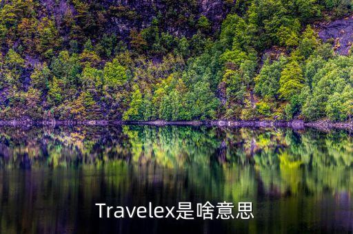 Travelex是啥意思