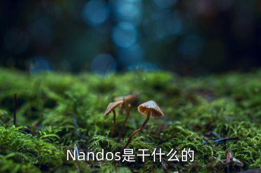 Nandos是干什么的