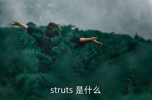 什么是中植系，struts 是什么