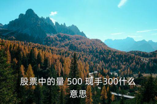 股票中的量 500 現(xiàn)手300什么意思