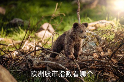 歐股叫什么指數，歐洲股市指數看哪個