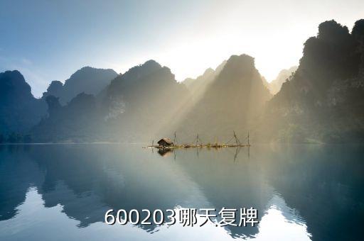 600203哪天復牌