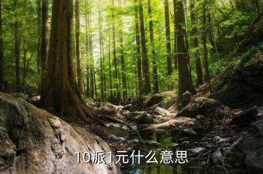 基金10派1是什么意思，山東墨龍股10轉(zhuǎn)10派1是什么意思