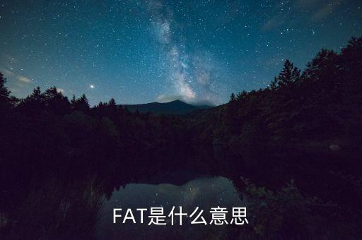 fatca指什么，F(xiàn)AT是什么意思