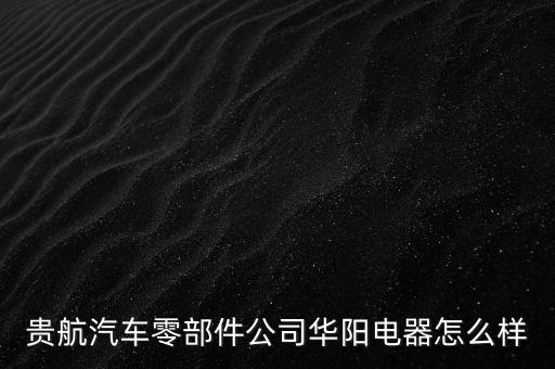 貴航集團華陽電工廠是什么企業(yè)，貴航汽車零部件公司華陽電器怎么樣