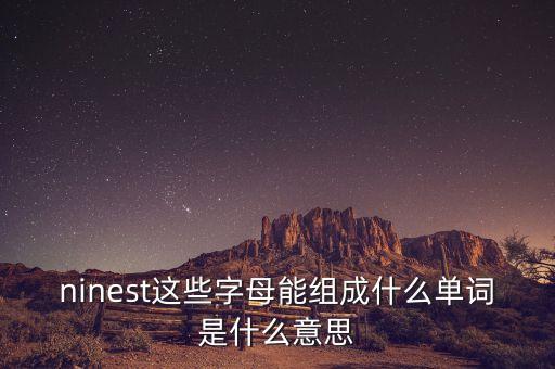 ninest這些字母能組成什么單詞是什么意思