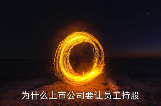 公司強(qiáng)迫員工入股的動(dòng)機(jī)是什么，4個(gè)人的公司要求員工入股是什么目的