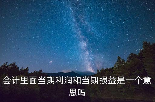 當期利潤是指什么意思，當期利潤當期應付利息等等中的當期是什么含義