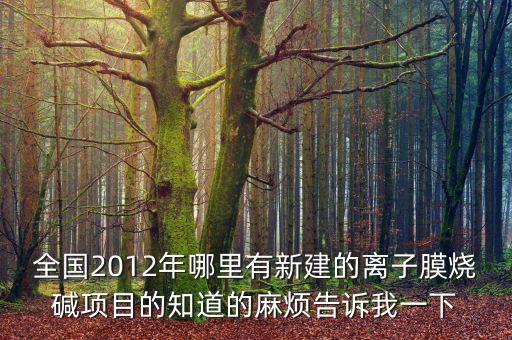 全國(guó)2012年哪里有新建的離子膜燒堿項(xiàng)目的知道的麻煩告訴我一下