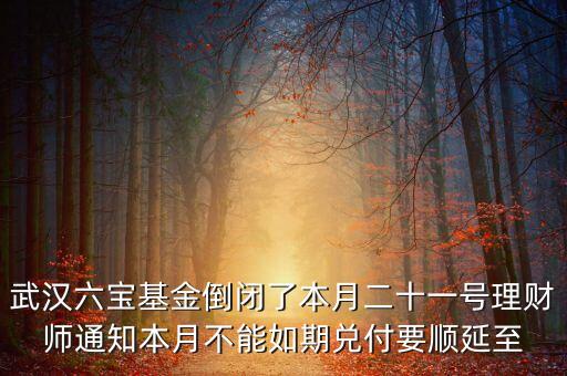 武漢六寶基金倒閉了本月二十一號理財師通知本月不能如期兌付要順延至