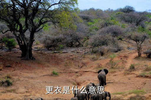 更衣是什么意思