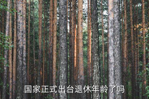 國家正式出臺(tái)退休年齡了嗎