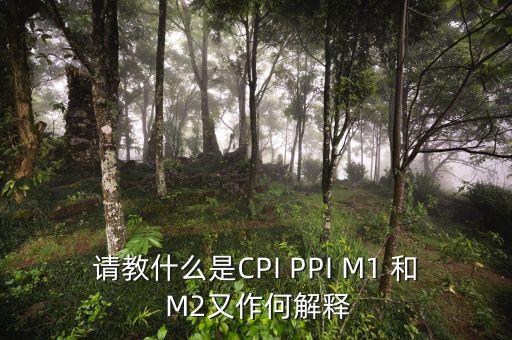 m2指數(shù)是什么，請(qǐng)教什么是CPI PPI M1 和 M2又作何解釋