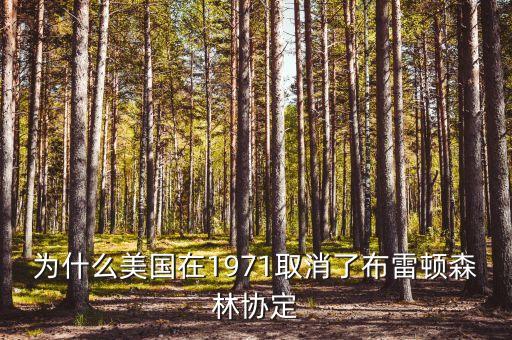 什么取代了布雷頓森林體系，布雷頓森林體系的產(chǎn)生說(shuō)明了