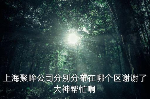 上海聚眸公司分別分布在哪個(gè)區(qū)謝謝了大神幫忙啊