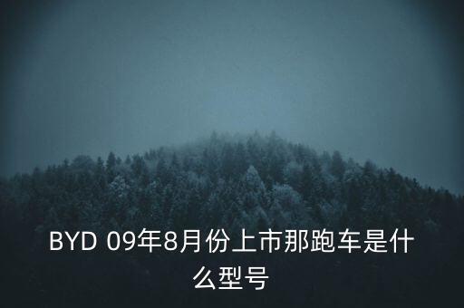 BYD 09年8月份上市那跑車是什么型號