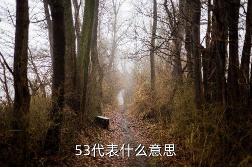 發(fā)紅包53代表什么意思，53代表什么意思