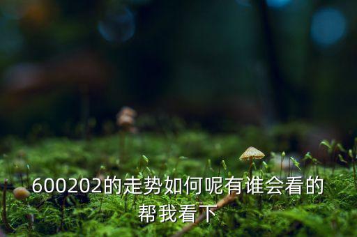 600202有什么概念，誰能幫我分析一下600202