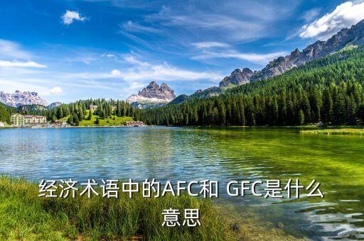 經(jīng)濟(jì)術(shù)語(yǔ)中的AFC和 GFC是什么意思