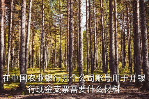 在中國(guó)農(nóng)業(yè)銀行開個(gè)公司賬號(hào)用于開銀行現(xiàn)金支票需要什么材料